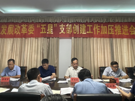 市发展改革委召开创建“五星”支部引领模范机关建设工作推进会