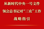从新时代中央一号文件领会总书记对“三农”工作战略指引